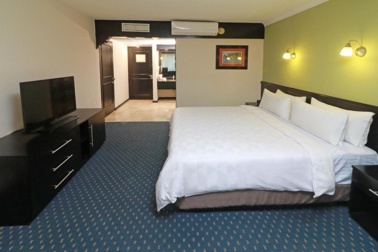 Holiday Inn San Luis Potosi-Quijote By Ihg Exterior foto