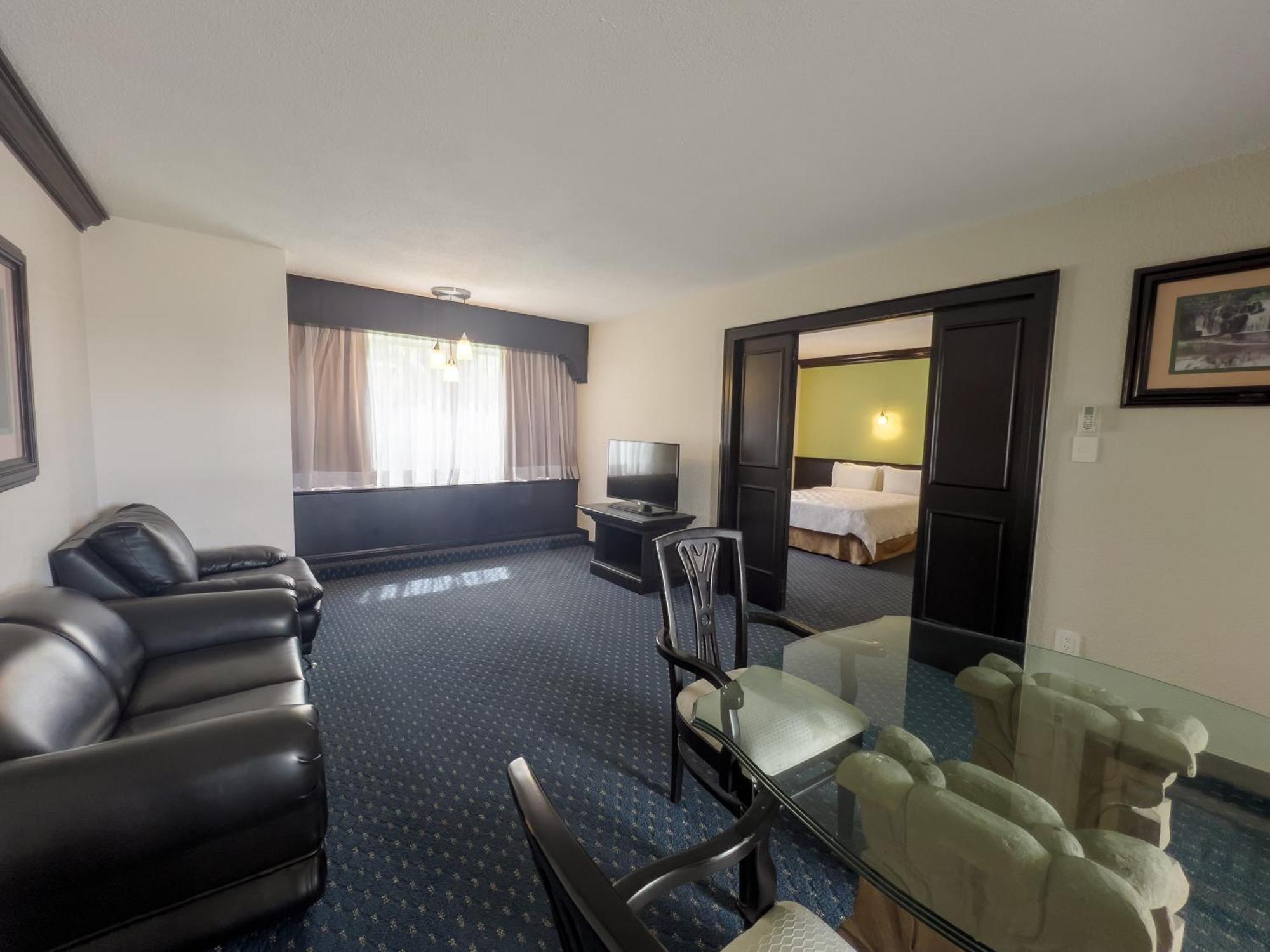 Holiday Inn San Luis Potosi-Quijote By Ihg Exterior foto