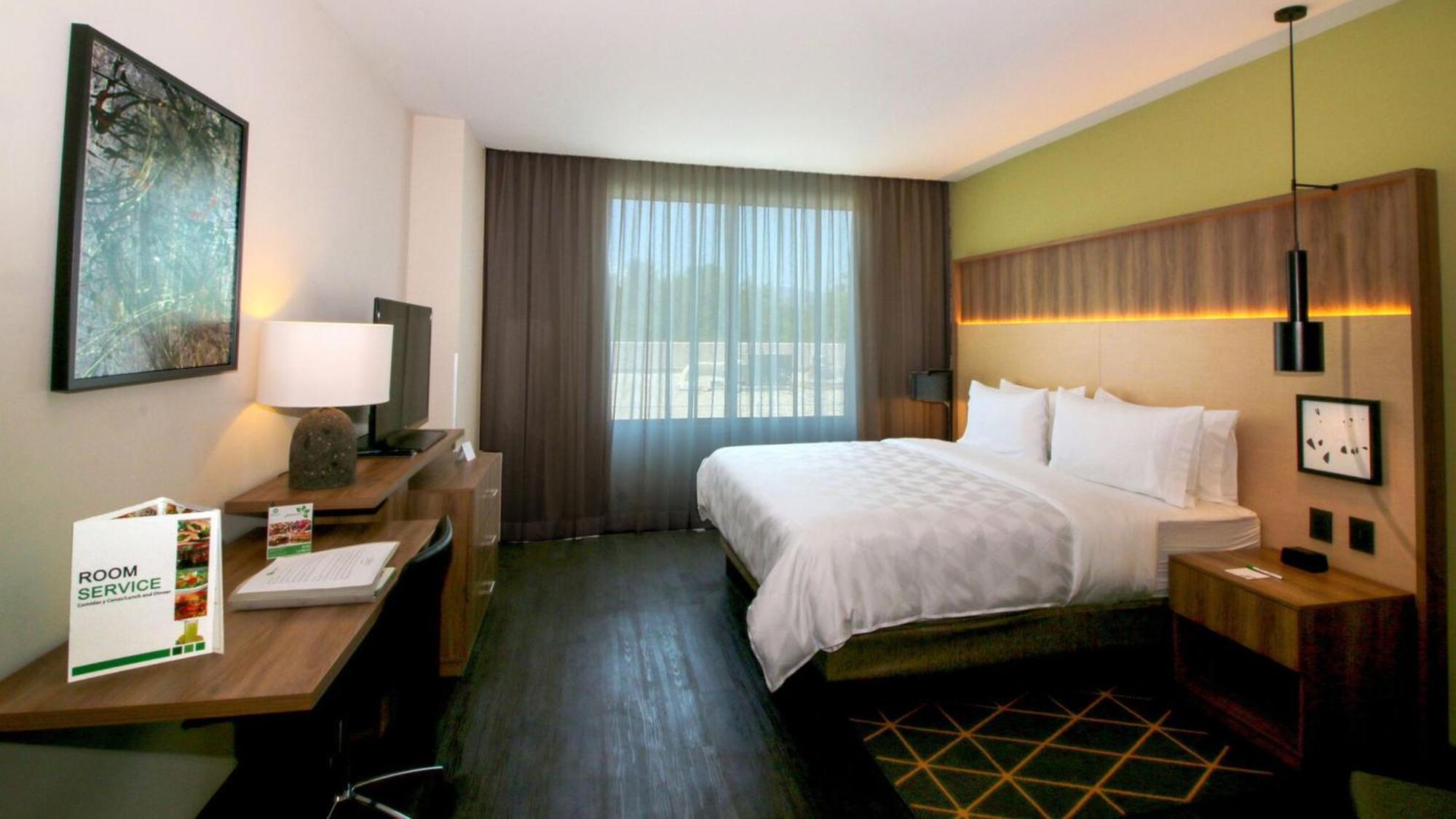 Holiday Inn San Luis Potosi-Quijote By Ihg Exterior foto